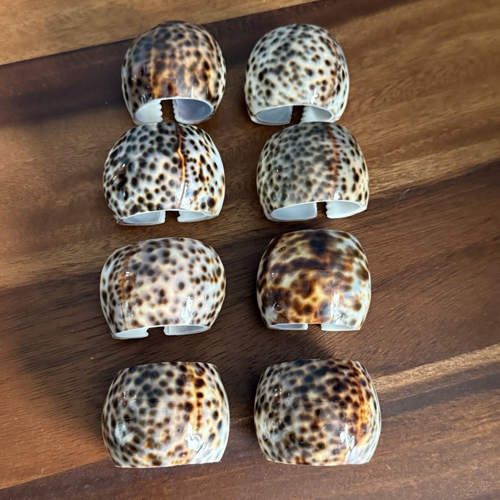 Vintage Tiger Cowrie Seashell Napkin Rings Set of 8 Cypraea Tigris Coastal